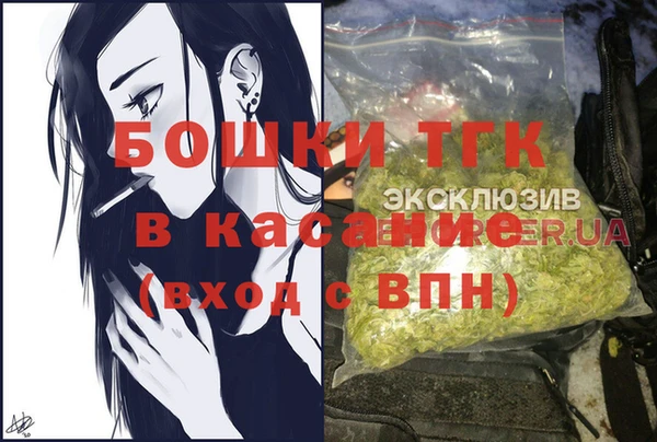 mix Богородицк